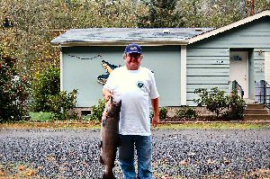 Back yard action here in Swisshome.  King Salmon